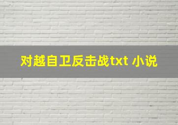 对越自卫反击战txt 小说